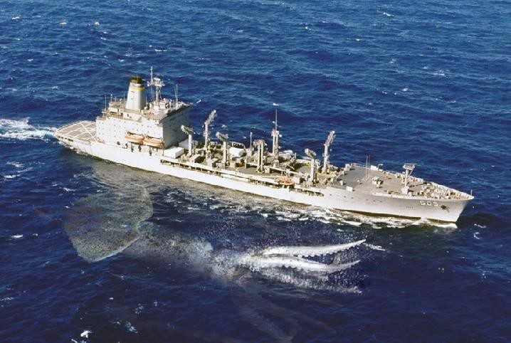 Гигантские Кальмары