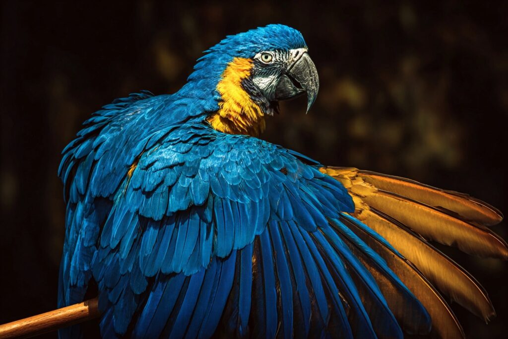  Brazil