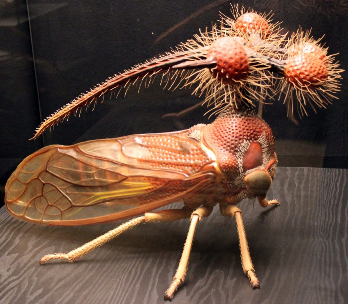 Nature’s Creepiest Insects