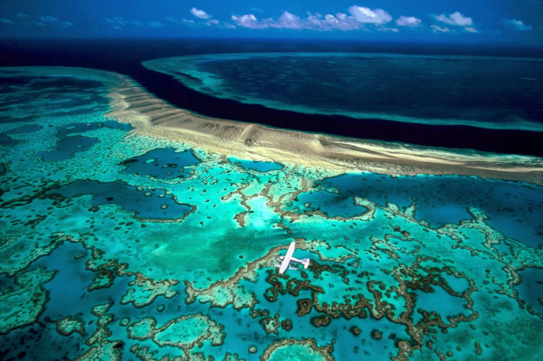 The Great Barrier Reef: Nature’s Underwater Wonder