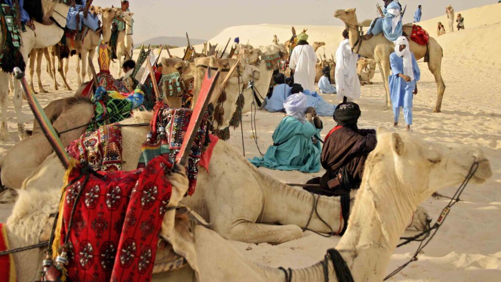 Camel