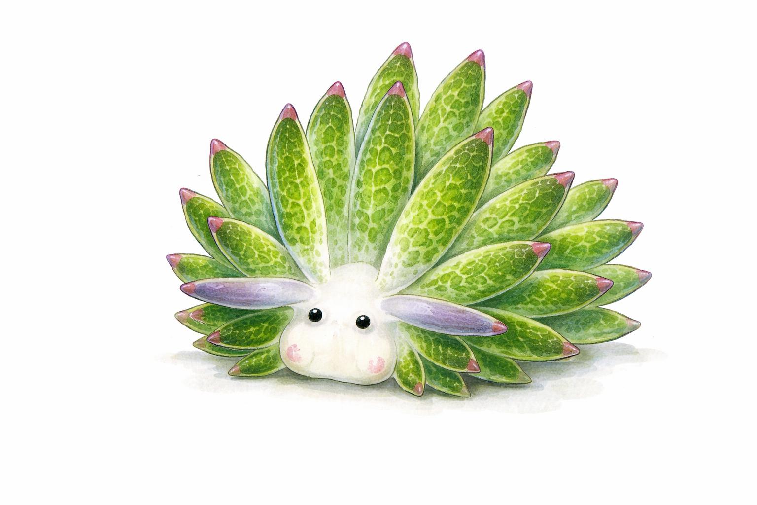 SEA SLUGS