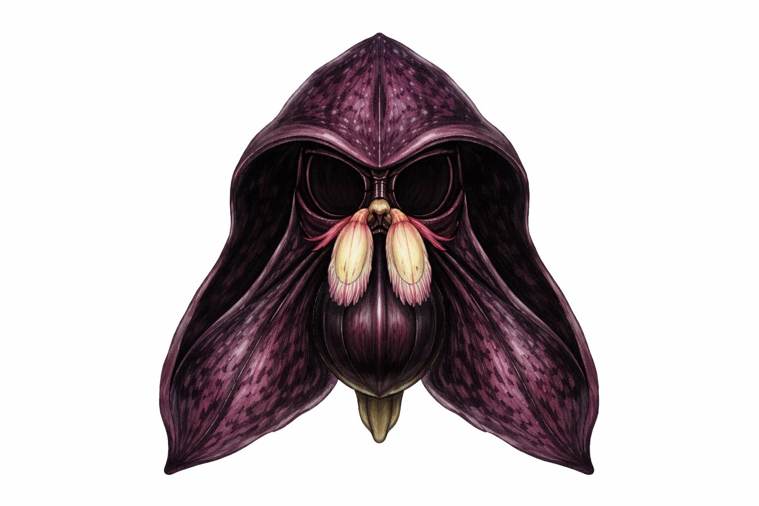 Flowers That Look Shockingly Like Animals