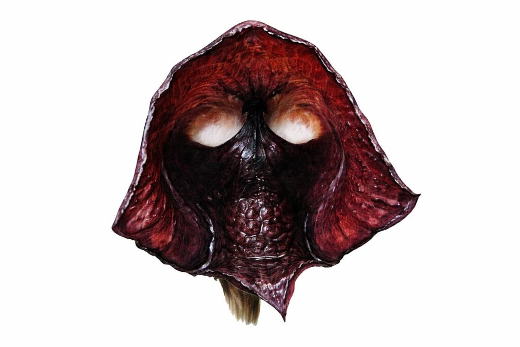 Darth Vader Flower (Aristolochia salvadorensis)