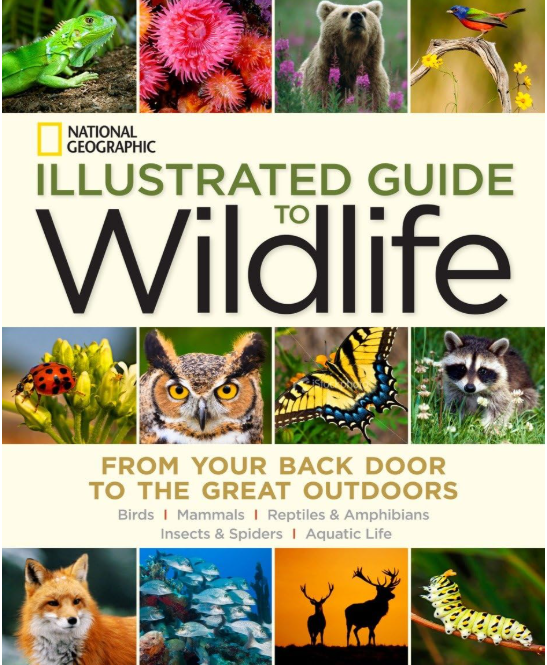 Recommended Books About Animals and Nature | Wildlife & Animal Guides
